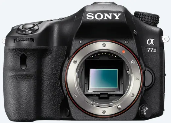 Sony SLT a77II Vs Nikon D7100